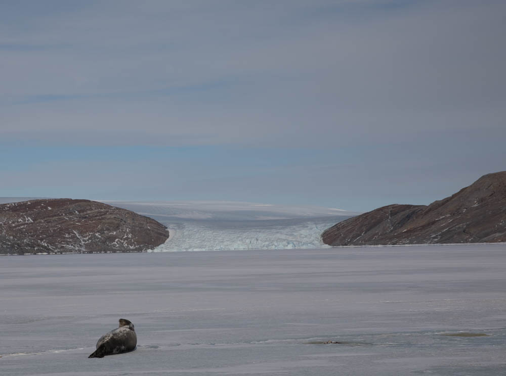 AUV܂A킢łɏ񂪂邽ߋ߂Â܂