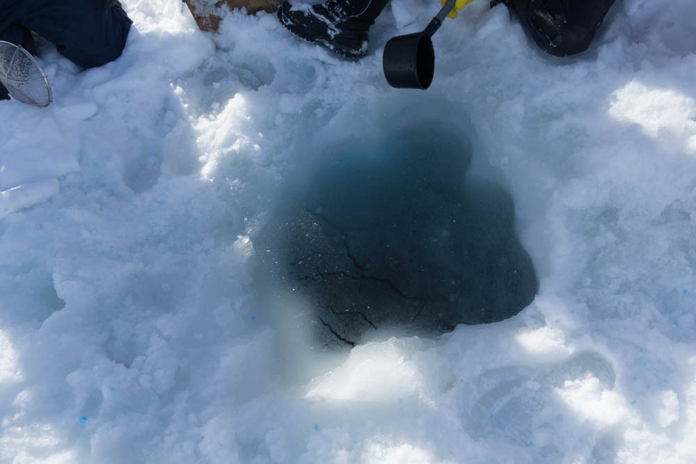 ACXhŌJȂ܂A[͂Pȏ゠܂