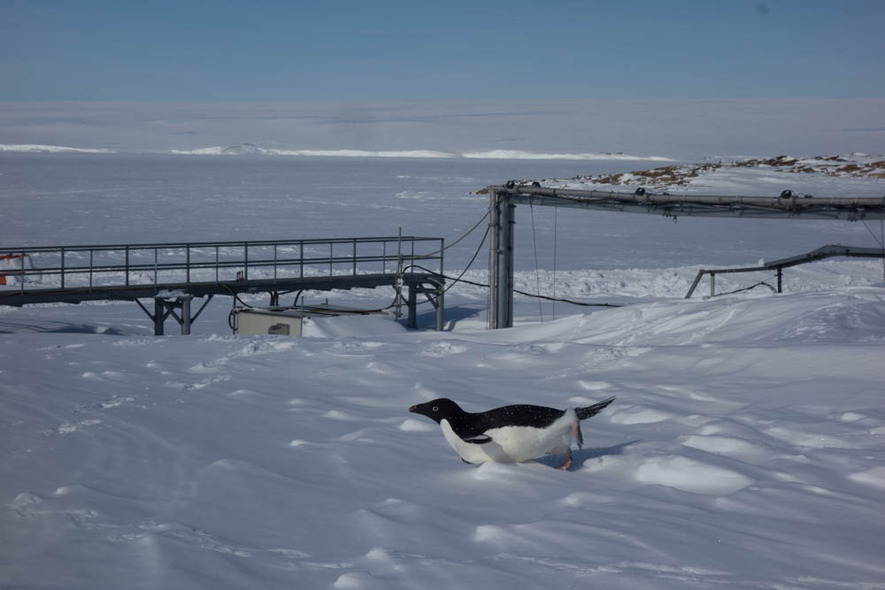 ̓g{KïӖjƌĂ΂邻ł